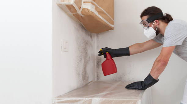 Professional Attic Mold Remediation technician working in Wauconda, IL
