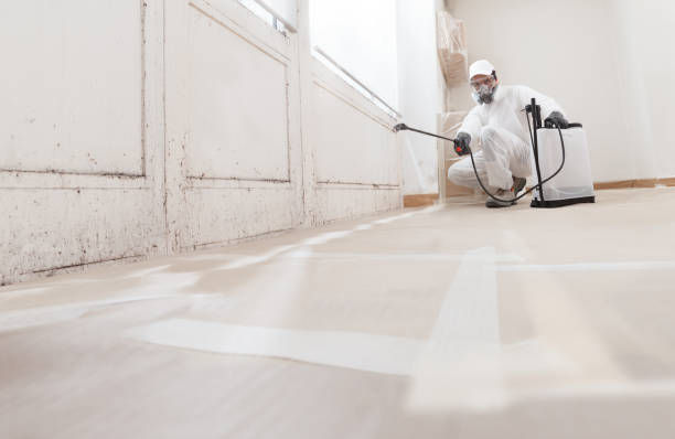 24/7 Emergency Attic Mold Remediation experts in Wauconda, IL